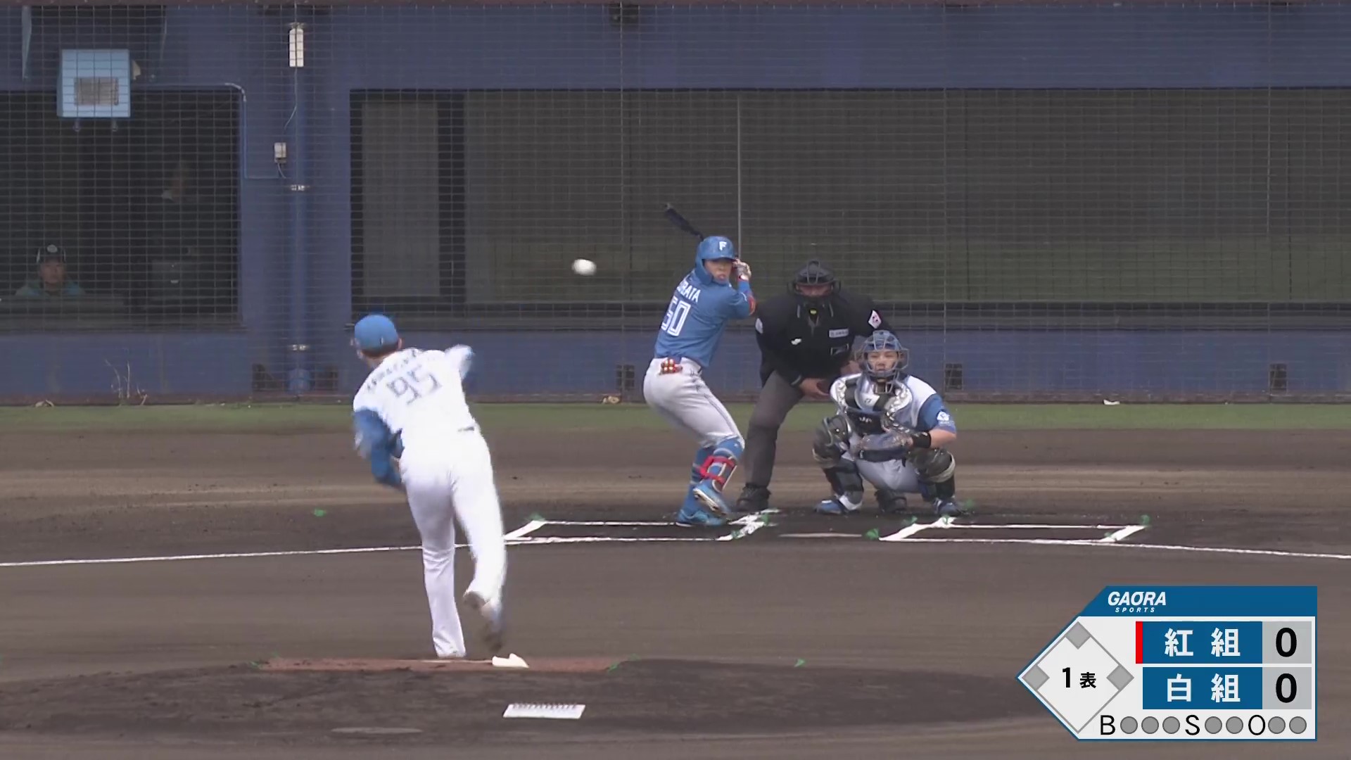 ファイターズ 紅白戦